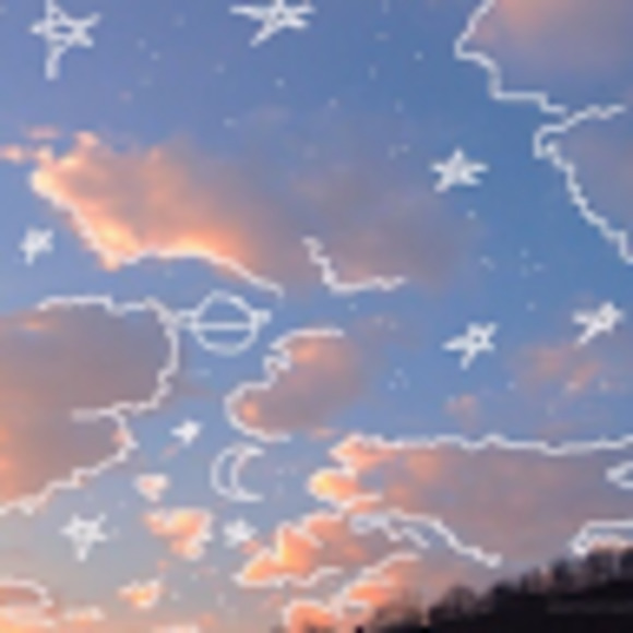 Meet your Posher, Marley - Picture 1 of 1